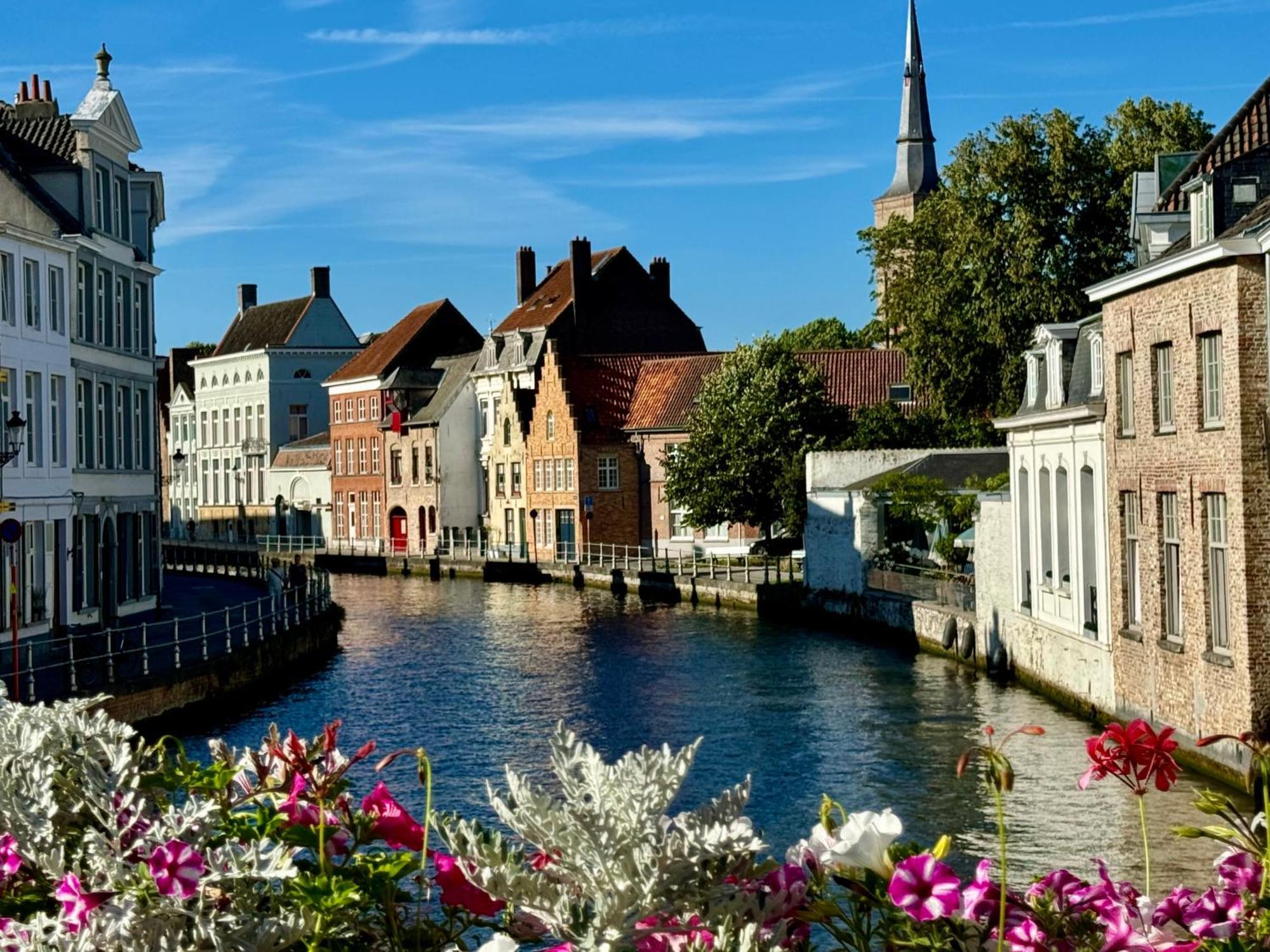 Sleeping Swan Bed and Breakfast Brugge Buitenkant foto